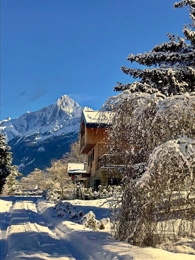 Chalet Amour Blanc Chamonix Ле-Уш Екстер'єр фото
